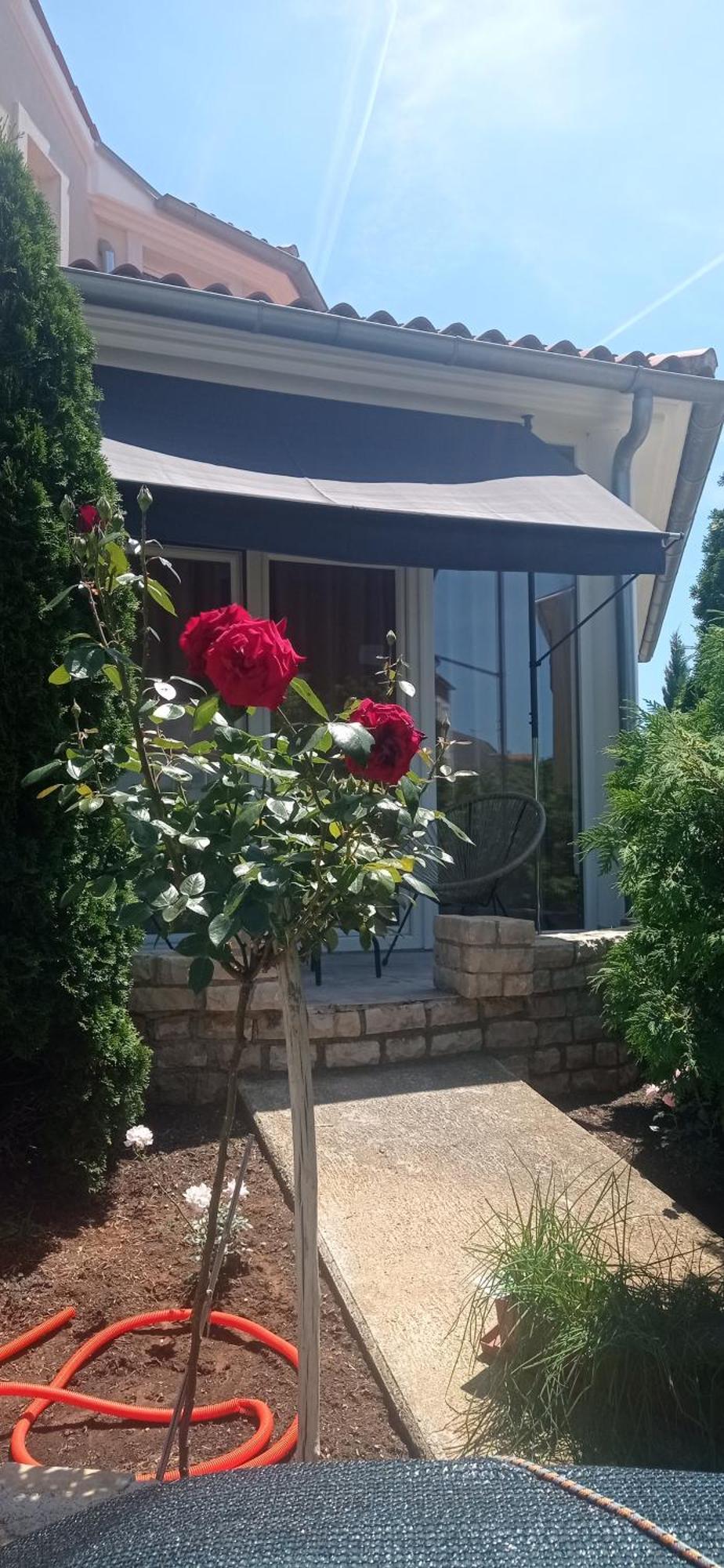 Villa Gregovica &T 2 Pula Bagian luar foto